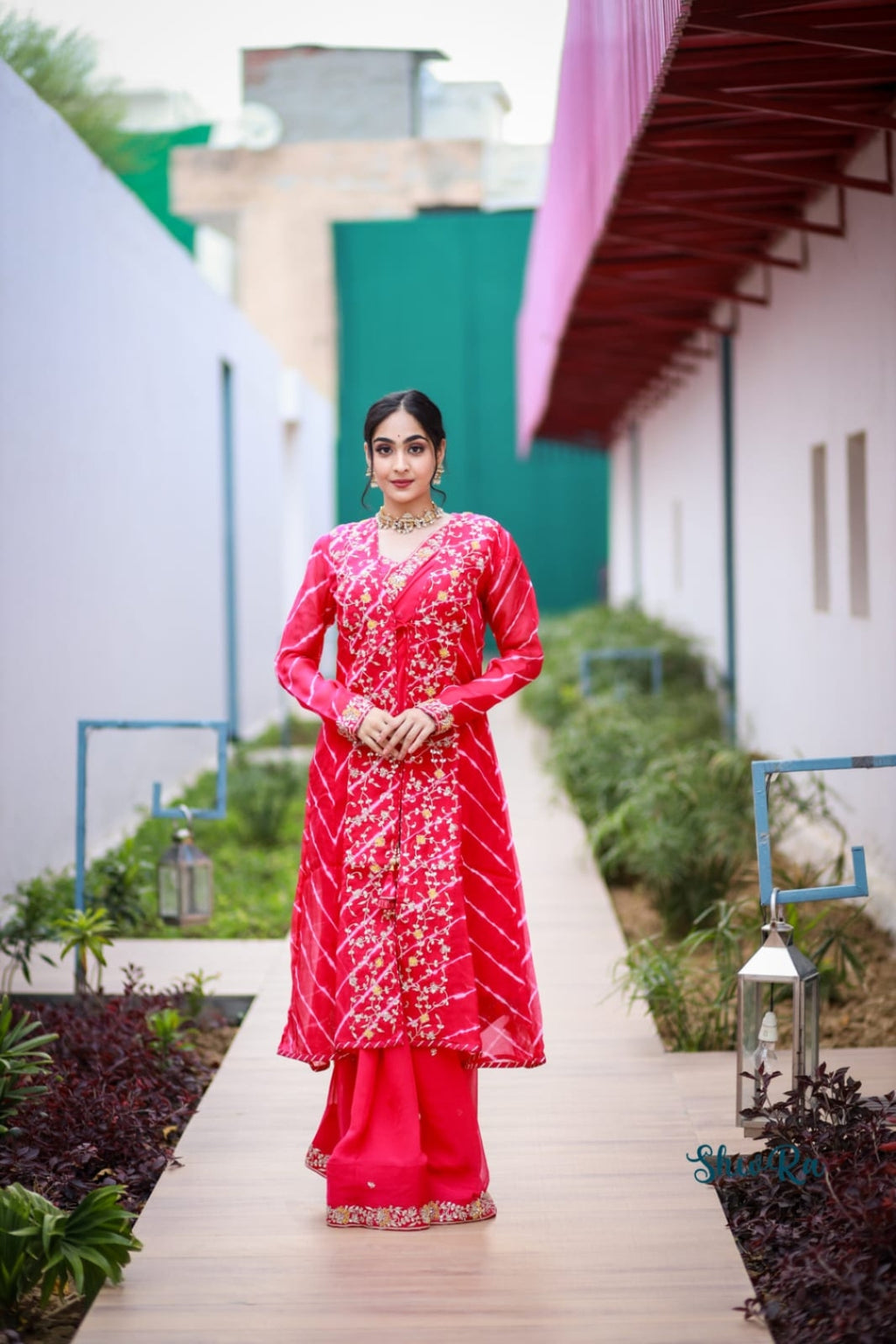 Raiza Saree with Jacket