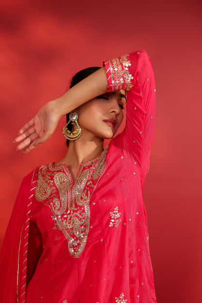 ALARA GOTAPATTI ANARKALI SET