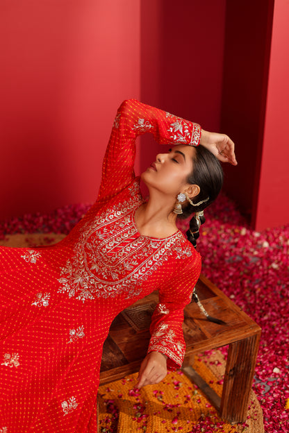 AHELIYA RED MOTHRA ANARKALI SET