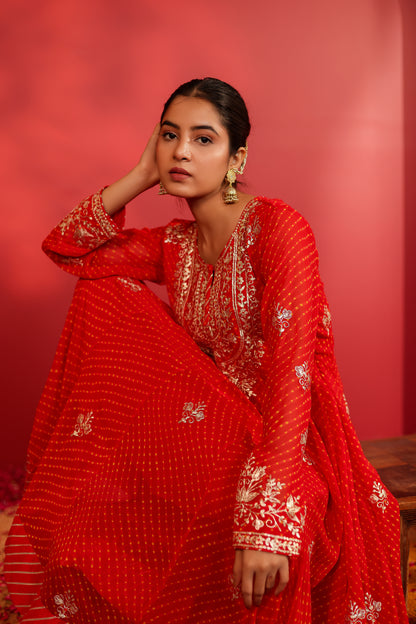 AHELIYA RED MOTHRA ANARKALI SET